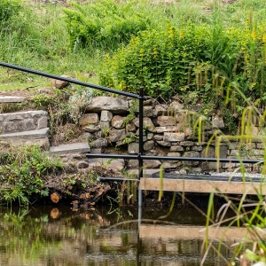 Redwell   17 06 2020   D500   Les 375.jpg